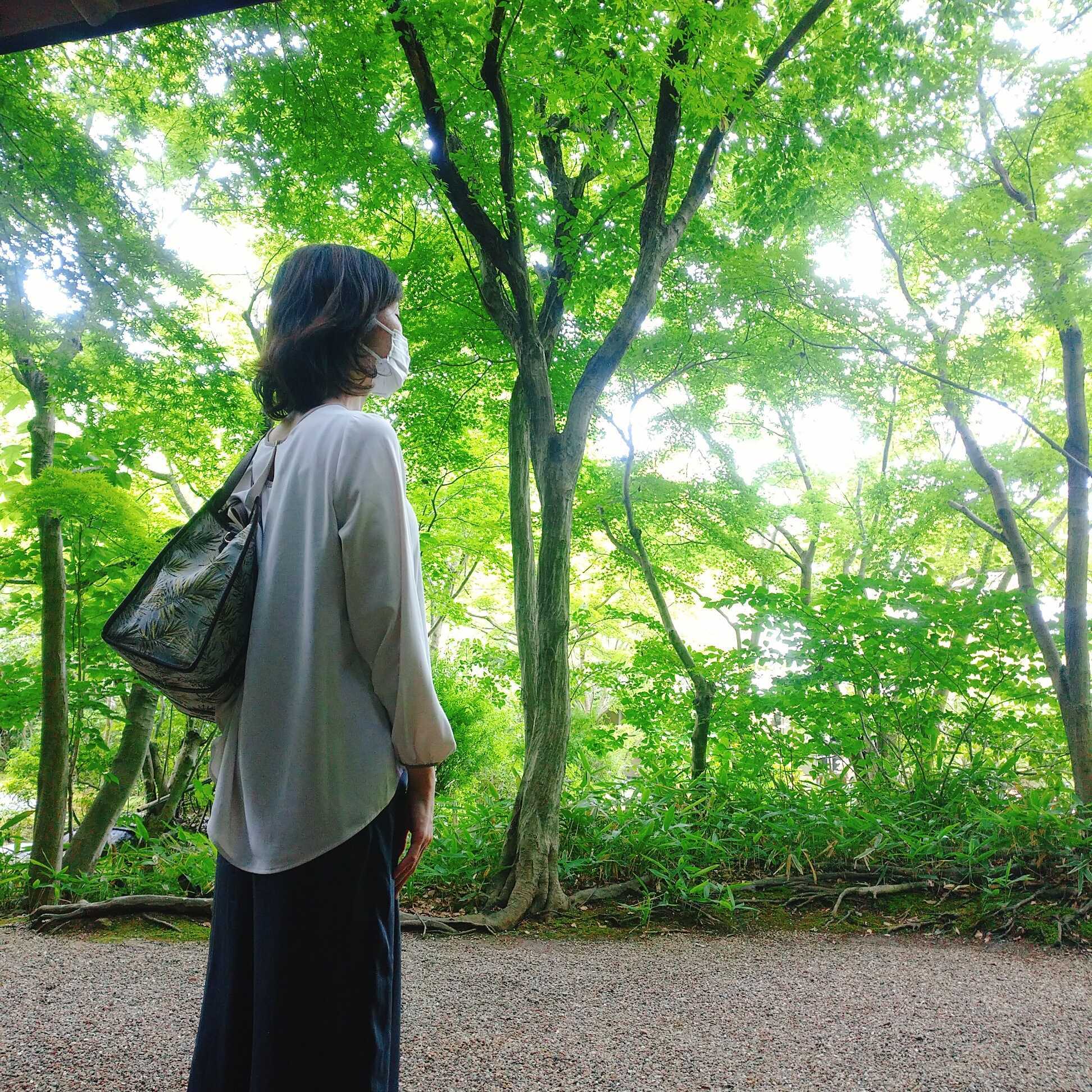 浜松まちなか 浜松市茶室 松韻亭 浜松城公園内 へ行って来ました Any エニィ