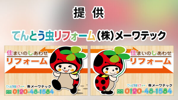 7月 2021 Any エニィ