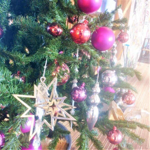 浜松まちなか クリスマス気分堪能 まちなかツリー特集21 Any エニィ