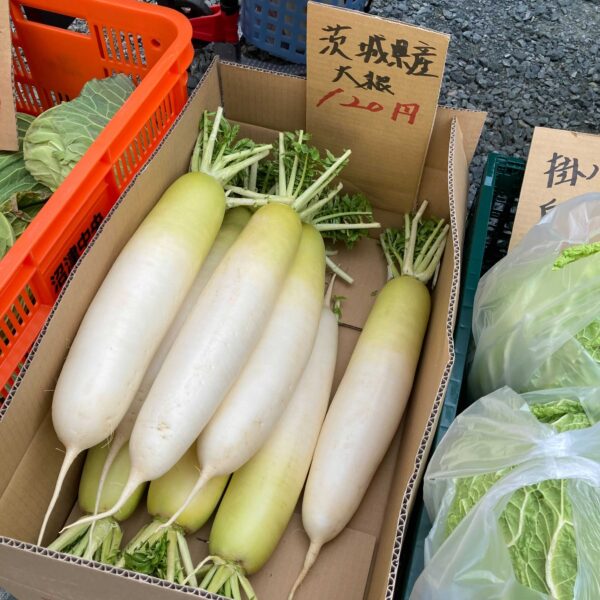 浜松まちなか】有楽街でお得に野菜＆フルーツが買えちゃう♪「桜ベジフル」さんの移動販売???????? | Any – エニィ