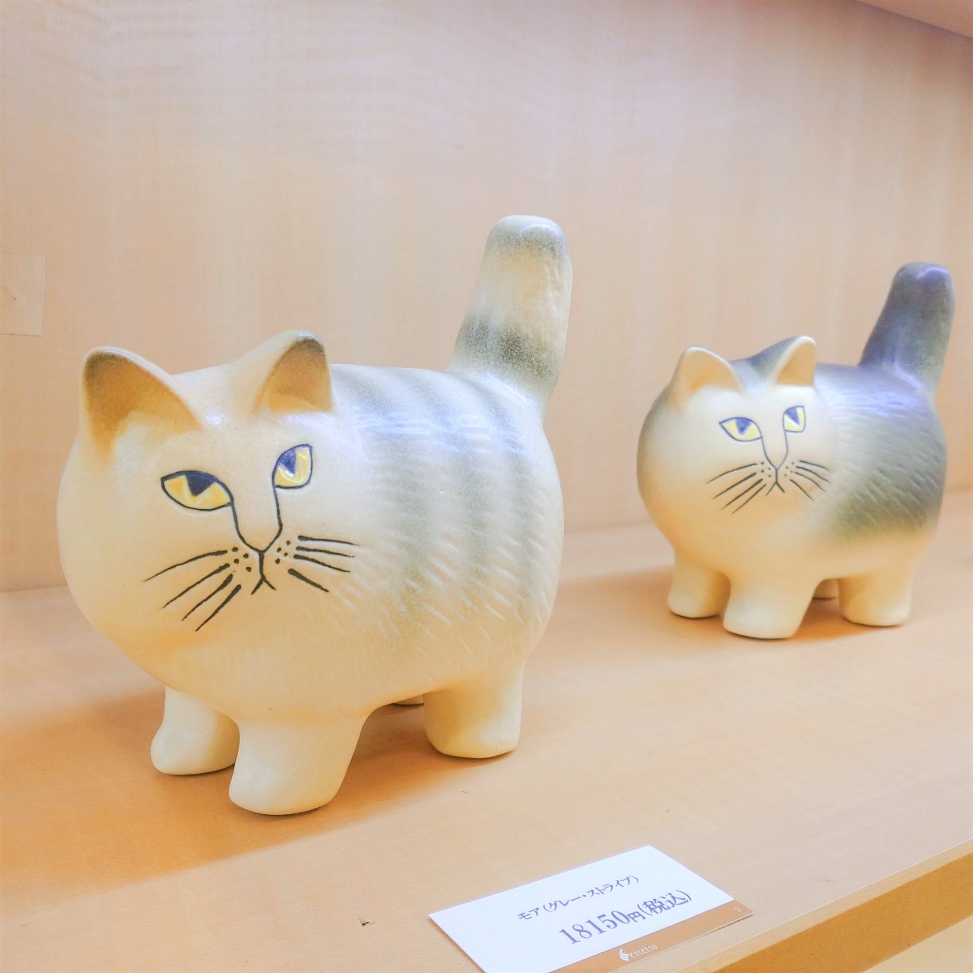 小さな猫が白い夜灯に飽きる 小さな猫が白い夜灯に飽きる